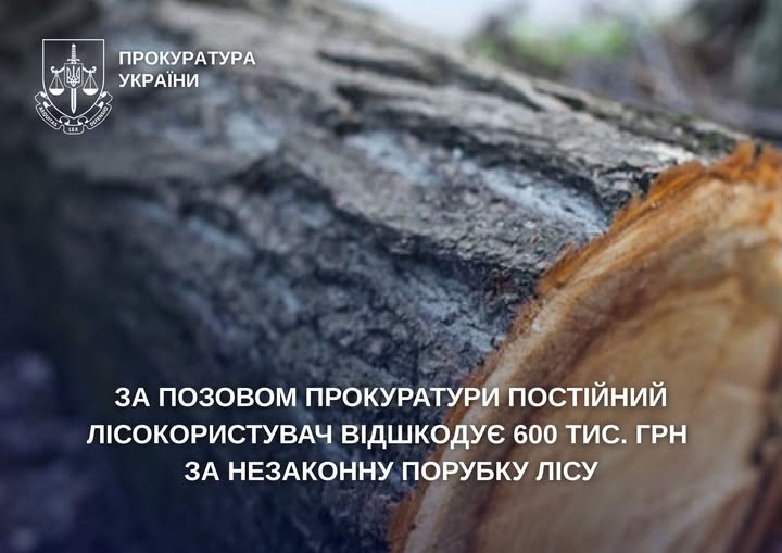 На Житомирщині постійний лісокористувач відшкодує 600 тис. грн за незаконну порубку лісу