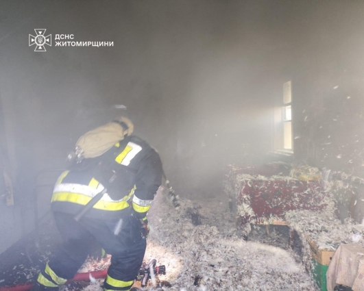 У Бердичівському районі на пожежі постраждали двоє людей