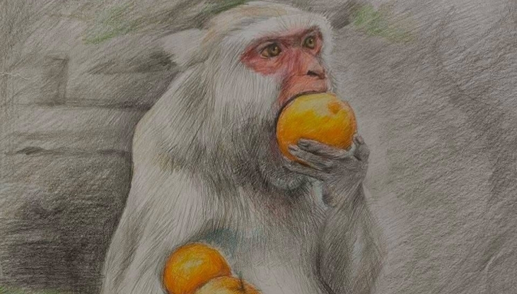 Вихованці Чуднівського міського будинку дитячої та юнацької творчості — серед переможців обласного конкурсу