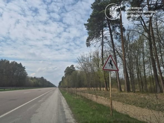 Червонокнижний лось загинув унаслідок ДТП: екоінспекція готує матеріали для Національної поліції