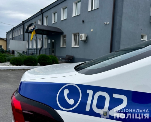 На Звягельщині затримали двох чоловіків, які вчиняли домашнє насильство