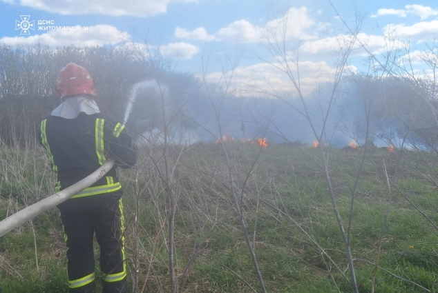 На Житомирщині за минулу добу сталося 6 загорянь в екосистемах: з початку року вже зафіксовано 421 пожежу
