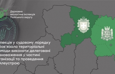 Суд визнав протиправною бездіяльність Олевської міської ради та зобов’язав забезпечити виконання повноважень у сфері землеустрою