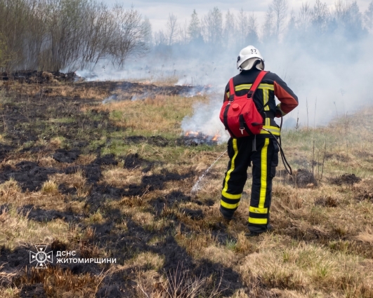 На Житомирщині за минулу добу сталося 6 пожеж в екосистемах, вогонь охопив понад 8 га територій