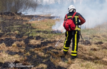 На Житомирщині за минулу добу сталося 6 пожеж в екосистемах, вогонь охопив понад 8 га територій