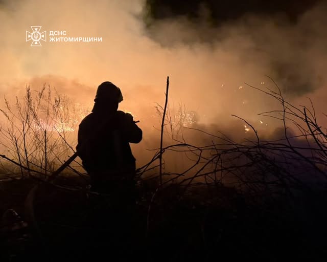 У Коростенському районі горіла суха трава: існувала загроза поширення вогню на житлові будинки та господарчі споруди