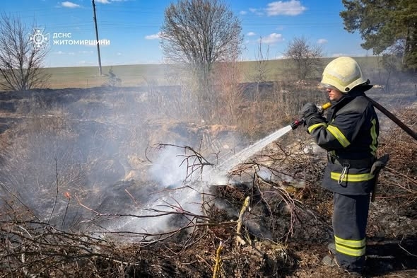 У Коростені горіла суха трава на площі близько 1,5 га