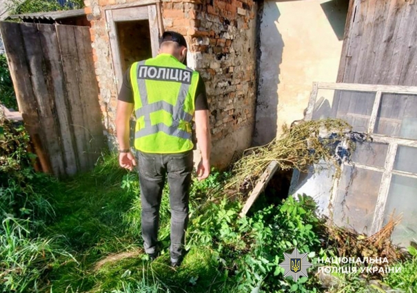 У Коростені в місцевих жителів виявили посіви конопель, рослини направили на експертне дослідження