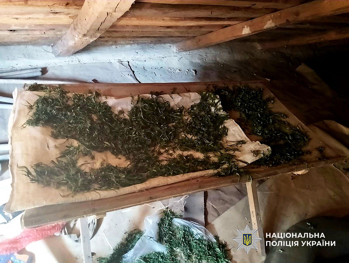 У Житомирі затримали 42-річного чоловіка, який ображав літню матір та зберігав коноплі на горищі