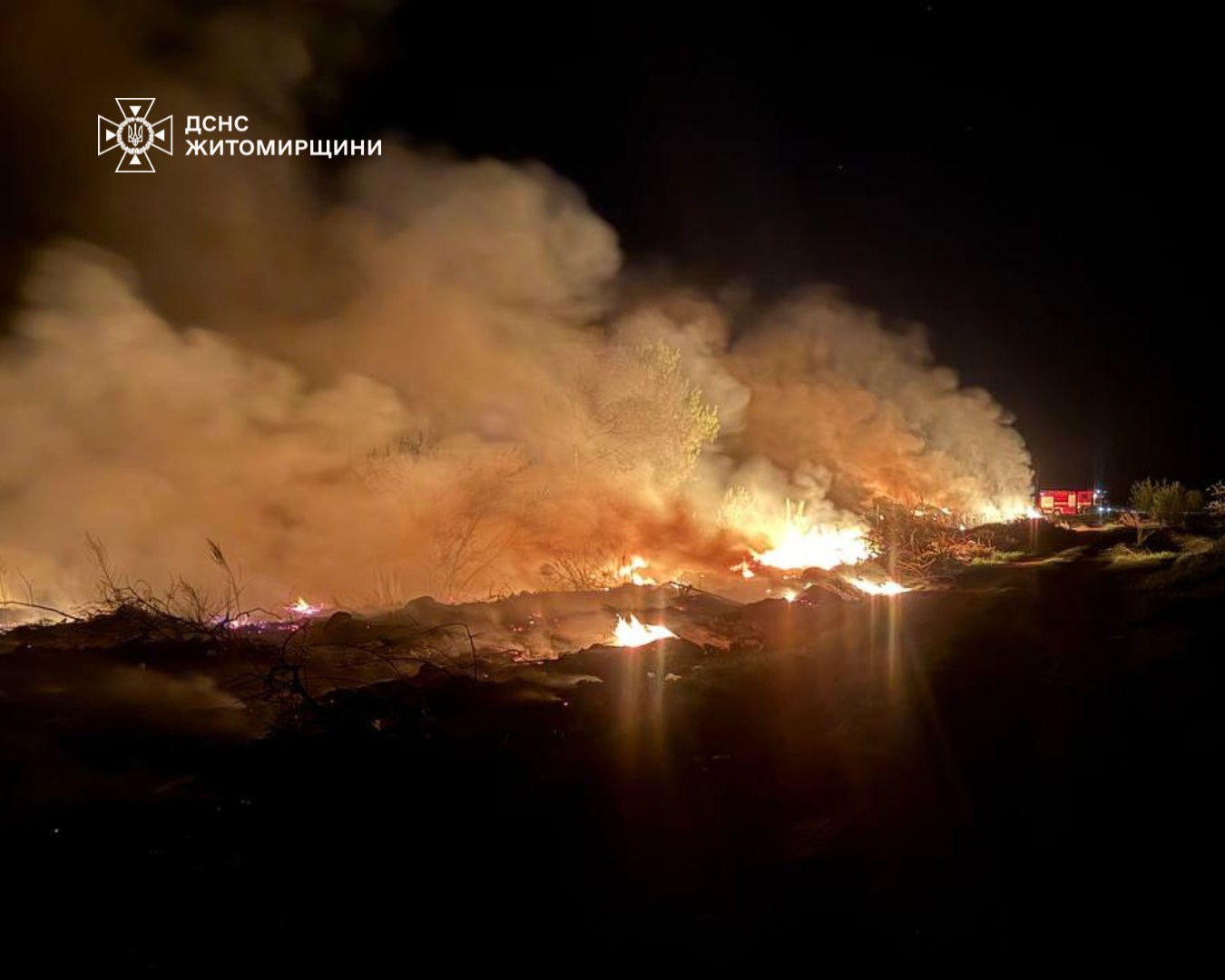 На Житомирщині за минулу добу ліквідували 21 пожежу, із них 10 в екосистемах