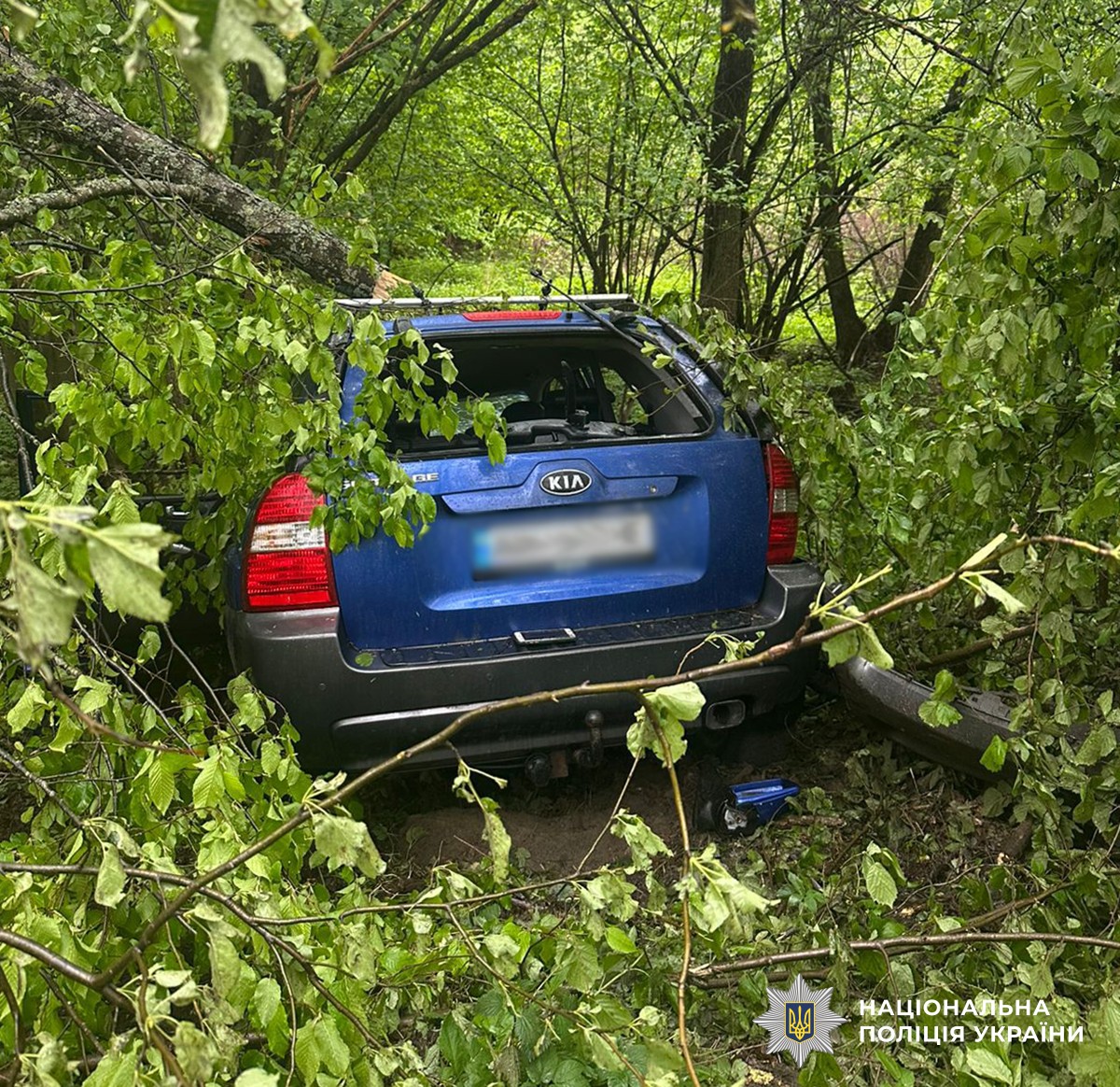 На Малинщині внаслідок ДТП загинули двоє чоловіків: автівка злетіла в кювет та зіткнулась з деревом