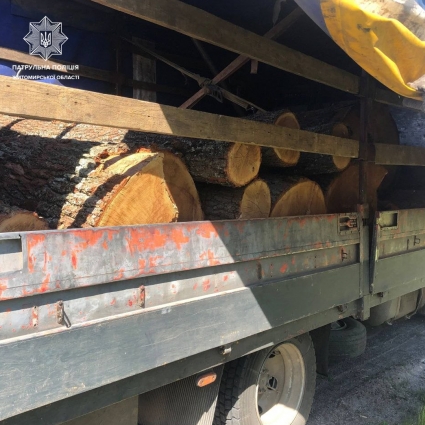 За минулий тиждень на Житомирщині зафіксували 8 випадків порушення вимог щодо транспортування лісопродукції