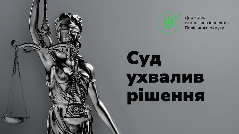 Суд зобов’язав Білокоровицьку сільську раду розглянути питання щодо самозалісених земель площею понад 483 га