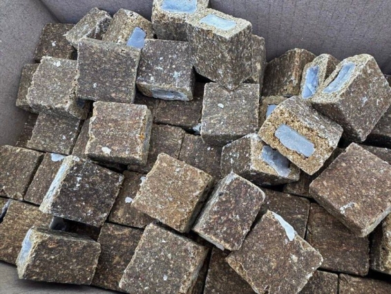 У Бердичівському районі планують проведення весняної кампанії з пероральної імунізації диких тварин проти сказу