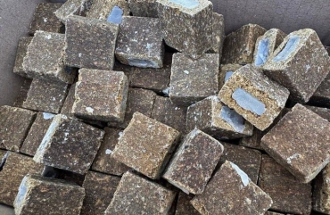 У Бердичівському районі планують проведення весняної кампанії з пероральної імунізації диких тварин проти сказу