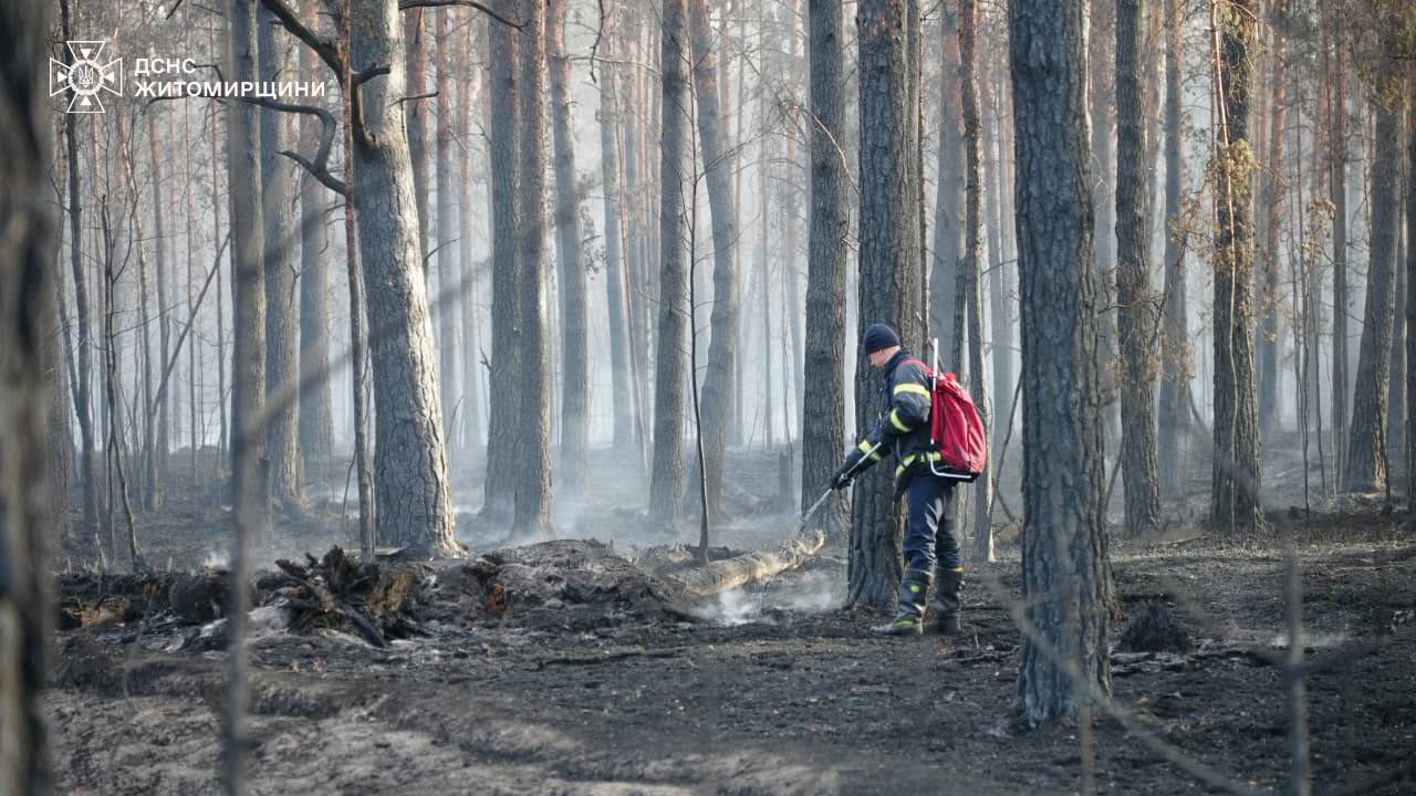 Пожежу на території Поліського природного заповідника ліквідовано