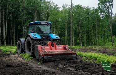 Понад 4500 гектарів лісових культур вже пройшли догляди на території Столичної філії ДП «Ліси України»