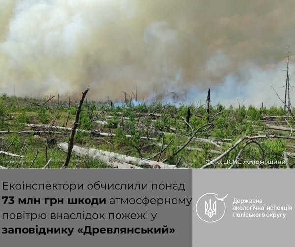 Екоінспектори обчислила понад 73 млн грн збитків від пожежі, спричиненої ворожою атакою на заповідник «Древлянський»
