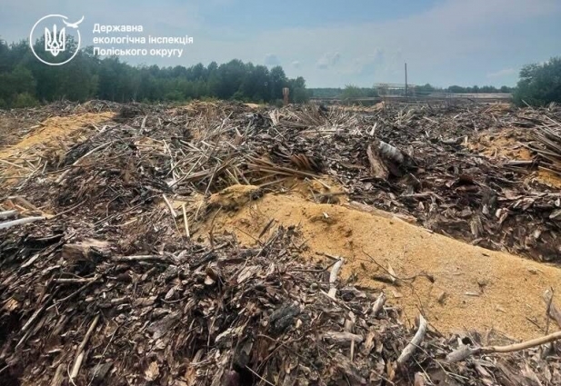 Понад 1,5 млн грн за засмічення лісових земель на Овруччині доведеться відшкодувати господарському підприємству «Ліси України»