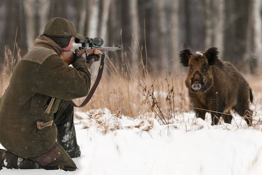 На Житомирщині з початку року екологи зафіксували 56 випадків браконьєрства