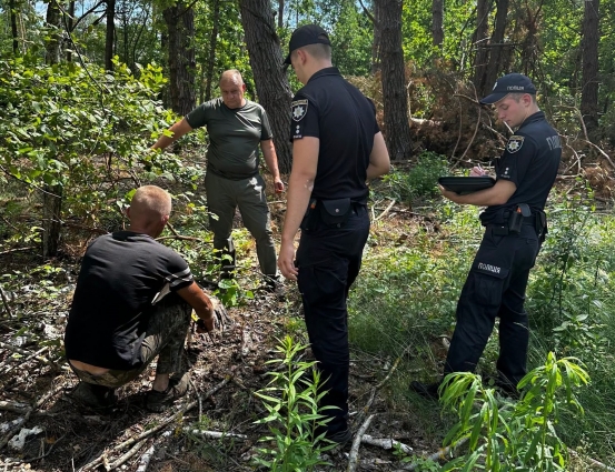 На Житомирщині незаконною вирубкою 173 дерев завдано понад 3 млн грн збитків довкіллю