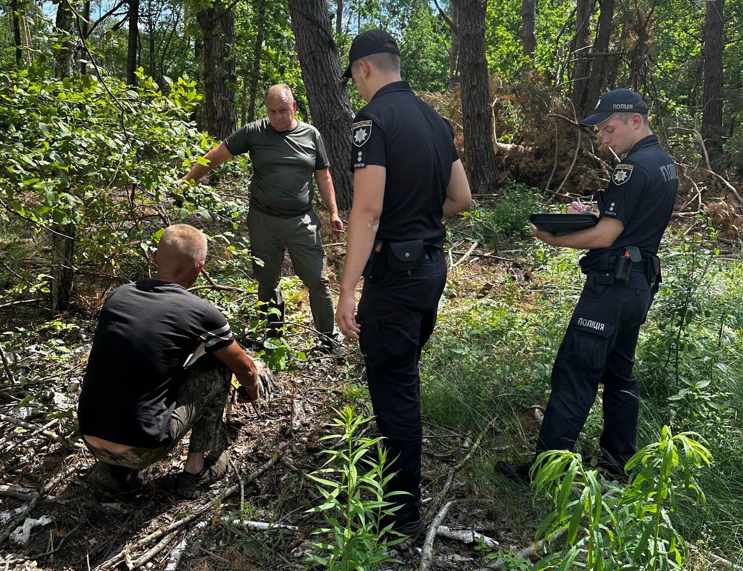 На Житомирщині незаконною вирубкою 173 дерев завдано понад 3 млн грн збитків довкіллю