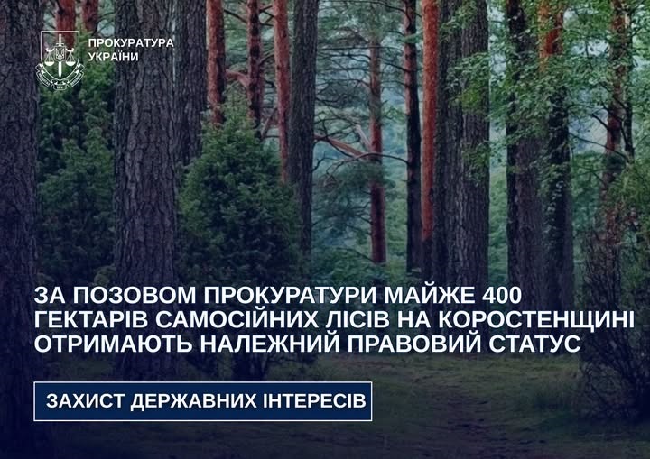 Майже 400 гектарів самосійних лісів на Коростенщині отримають належний правовий статус