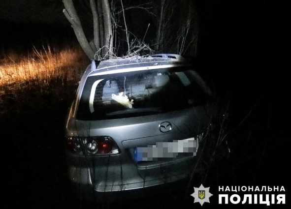 У Райгородській громаді п'яний водій врізався в дерево, травми отримали дві пасажирки