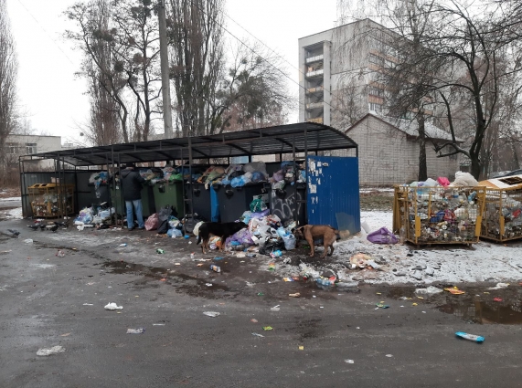 Вулиці Корольова, Вітрука та Вокзальної у Житомирі переповнені сміттям