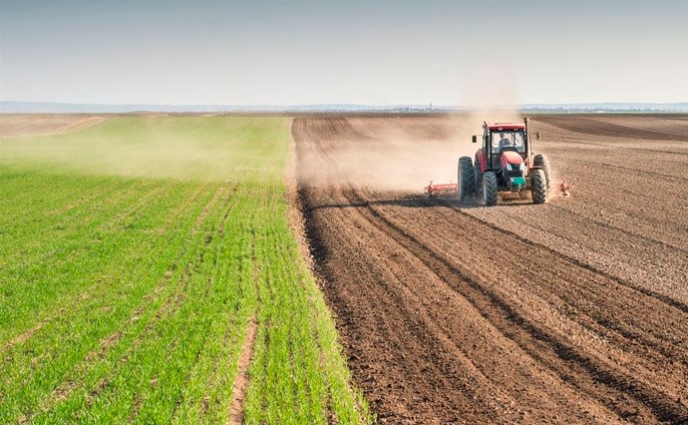 Аграрії Житомирщини планують збільшити посівні площі під зерновими культурами на 28,7 тис. га