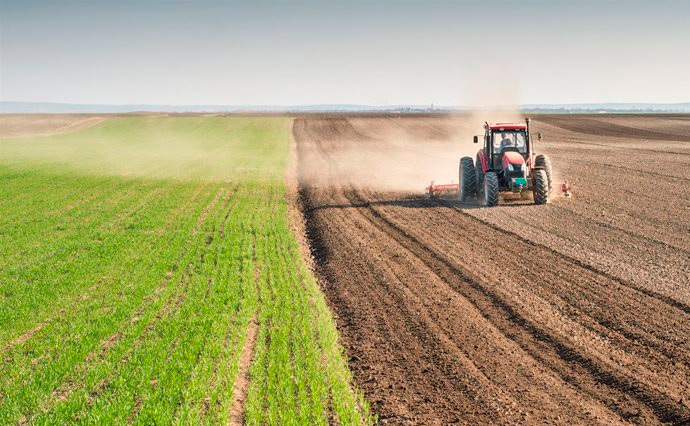 Весняно-польові роботи у розпалі: Житомирщина продовжує посівну кампанію ярих культур, вже посіяли 86,7 тис. га
