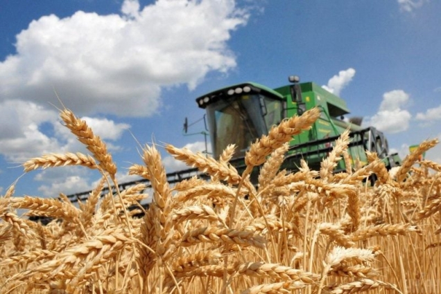 На Житомирщині завершено збір ранніх зернових і зернобобових культур, намолочено 869,2 тис. тонн збіжжя