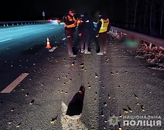 На Звягельщині під колесами вантажівки загинув 39-річний пішохід