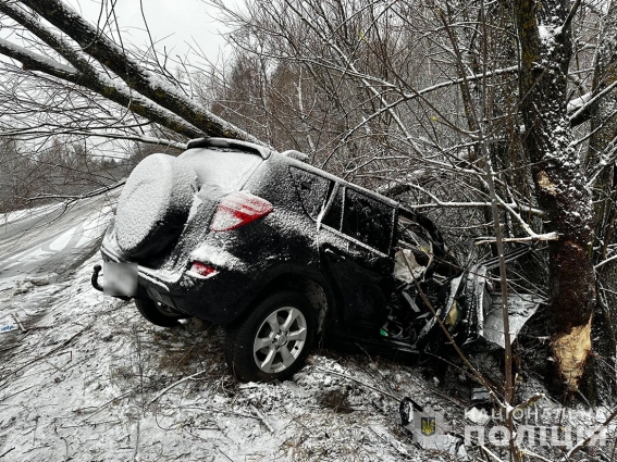 На Малинщині автівка врізалася в дерево: внаслідок ДТП загинула пасажирка, водій – в реанімації