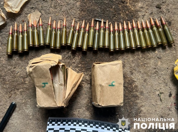 Гранати та набої: поліцейські вилучили небезпечні предмети у жителів Житомира та Новогуйвинської громади