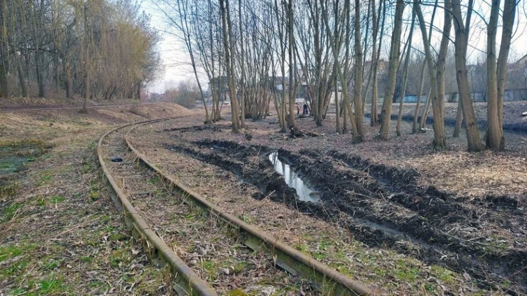 За рішенням суду Українська залізниця сплатила понад 742 тис. грн шкоди довкіллю внаслідок незаконної порубки