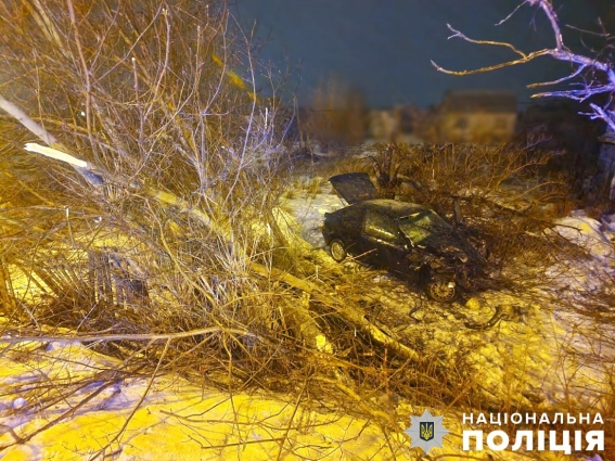 У Тетерівці в ДТП травмувався водій BMW: автівка злетіла з дороги та протаранила дерево
