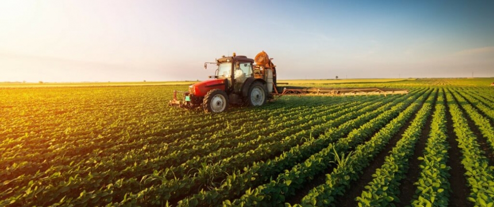 Підсумки роботи агропромислового комплексу Житомирщини у 2024 році