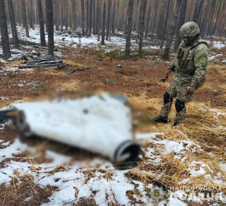 На Житомирщині вибухотехніки поліції знищили бойову частину ворожого безпілотника