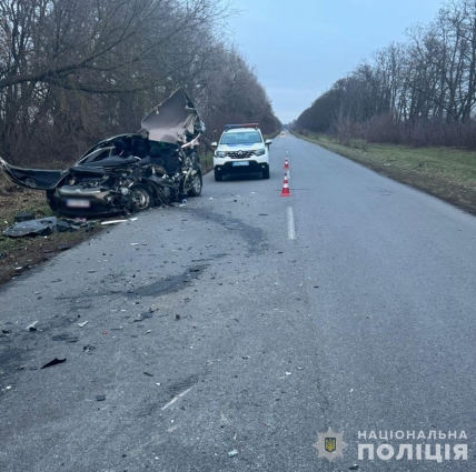 Неподалік Андрушівки в ДТП зіткнулися автівка та вантажівка: травми отримала водійка легковика