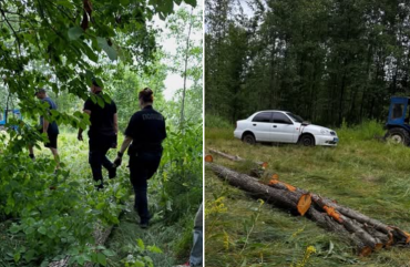 На Звягельщині виявили незаконну порубку трьох дерев вільхи: розмір шкоди становить понад 24,8 тис. грн