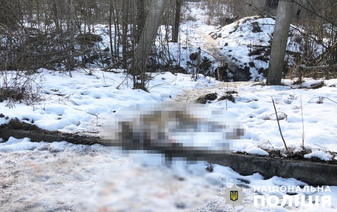 У Романівській громаді 52-річний чоловік вбив собаку, бо та їла курей