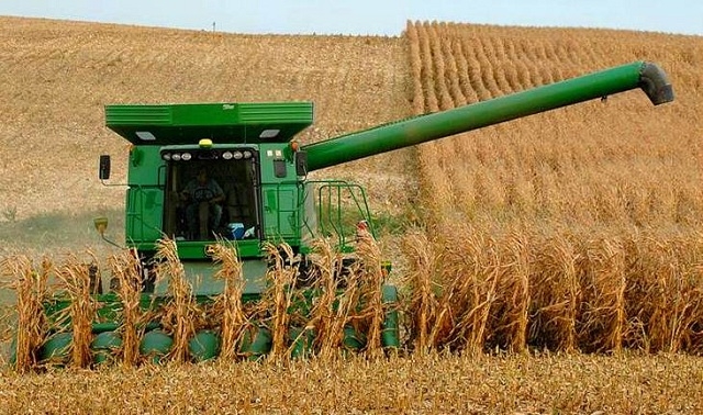 На Житомирщині зібрано зернових та зернобобових культур на 63,3% засіяних площ