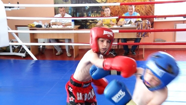 У Житомирі відбувся Чемпіонат області з кікбоксингу: на змагання з’їхалося 125 бійців