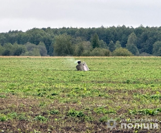 На Житомирщині знищили бойову частину російського безпілотника та касетні елементи (ВІДЕО)
