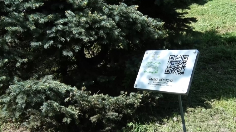 У Шодуарівському парку провели презентацію-екскурсію унікальними видами дерев