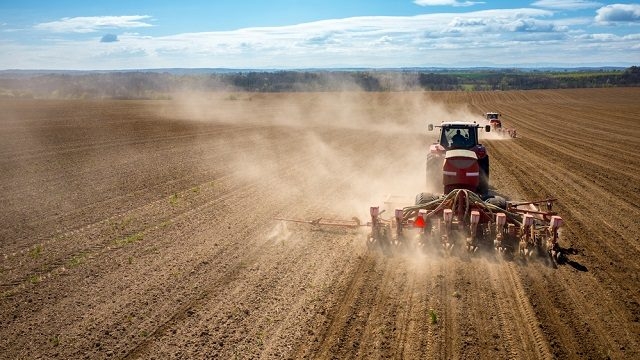 На Житомирщині вже посіяно близько 60% озимих під урожай 2023 року