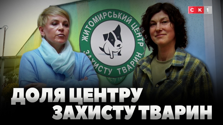 У «Центр захисту тварин» шукають нового керівника: волонтери проти (ВІДЕО)