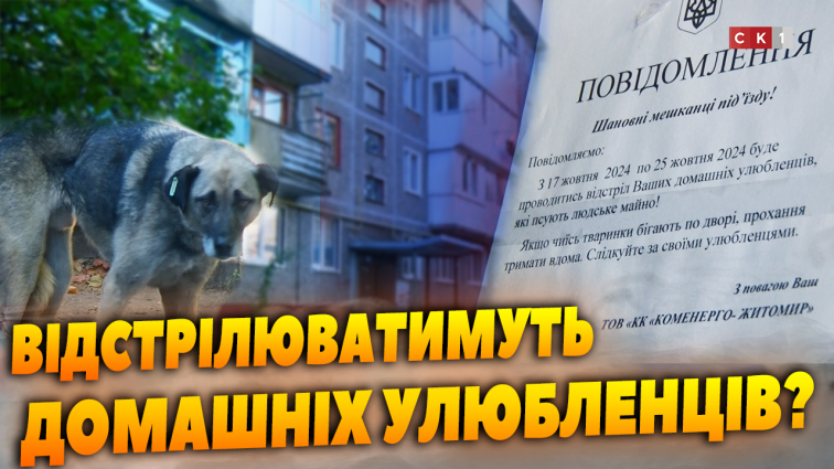 В одному з під’їздів Житомира повісили оголошення про відстріл домашніх улюбленців (ВІДЕО)
