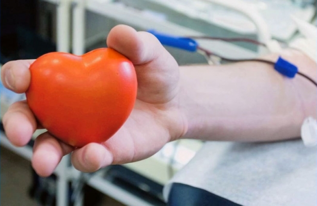 Житомирський центр крові потребує донорів усіх груп, особливо резус-негативних груп (ВІДЕО)